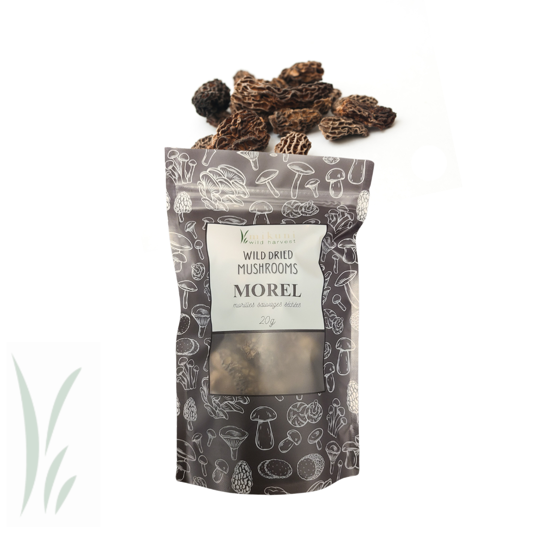 Wild Morel Mushrooms, Dried / 20g