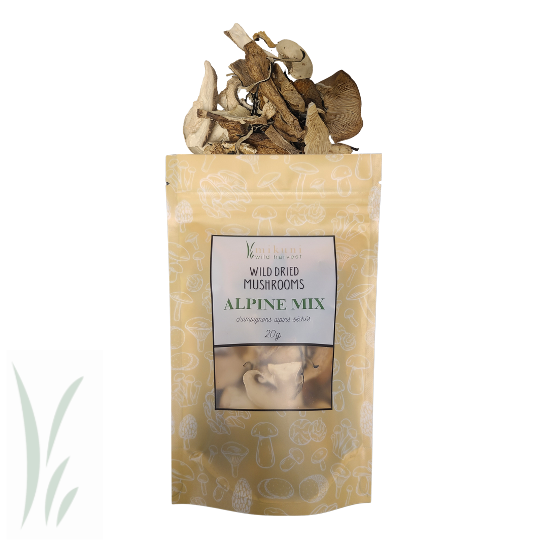 Alpine Mix Mushrooms, Dried / 20g