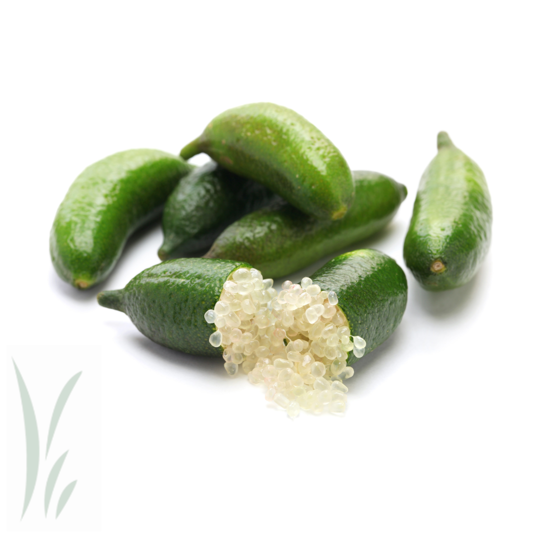 Frozen Finger Limes / 1/2 pint