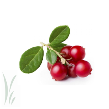 Wild Lingonberries, Frozen / lb